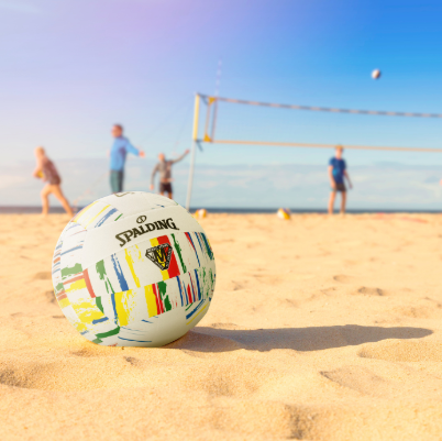Volleyball-Category-Image